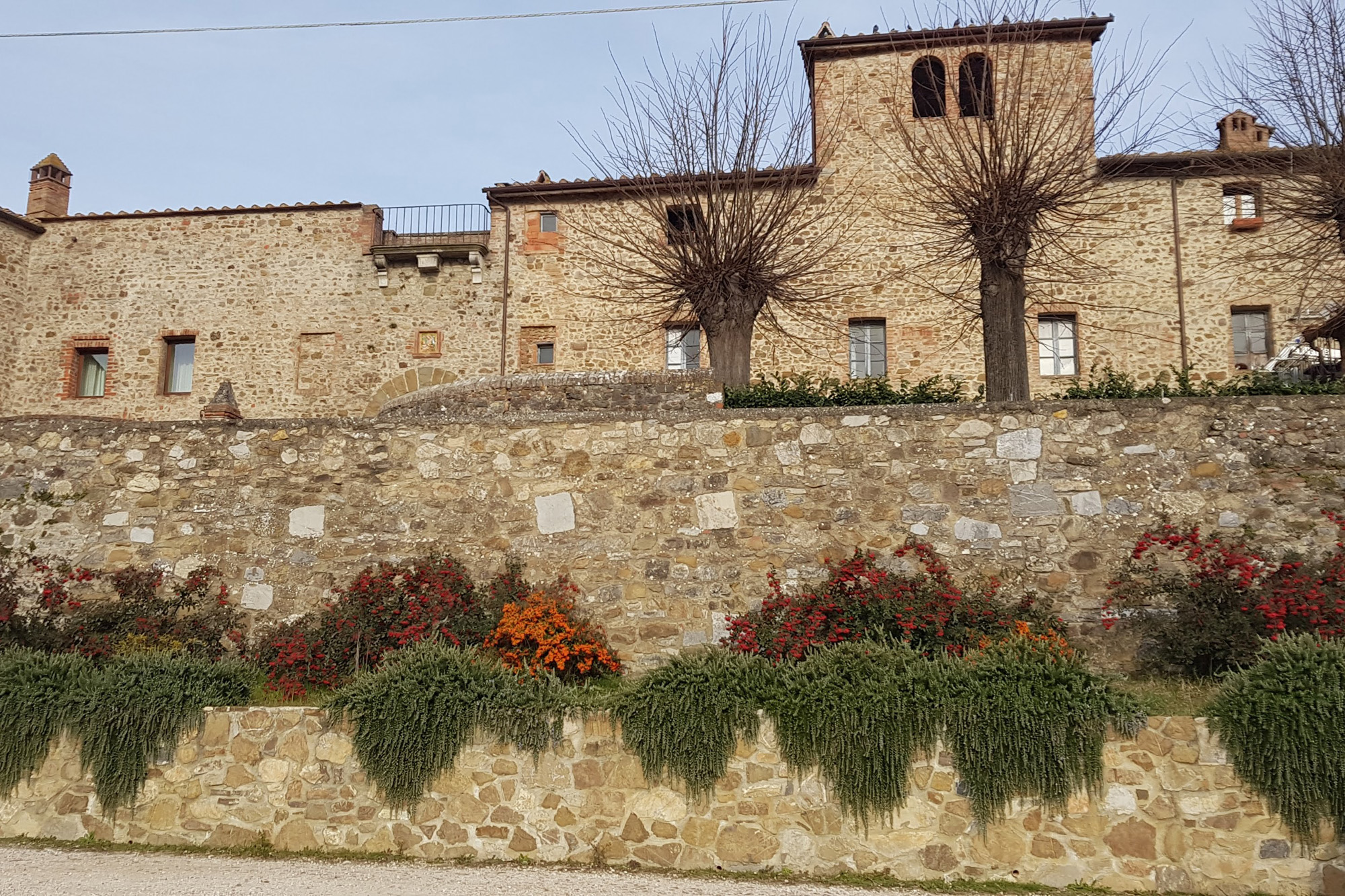 Festa del Luca: mercoledì 8 settembre a San Gusmè doppio appuntamento tra sostenibilità e tradizione 