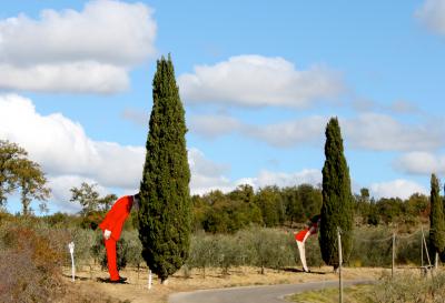 StruzziMetropolitani