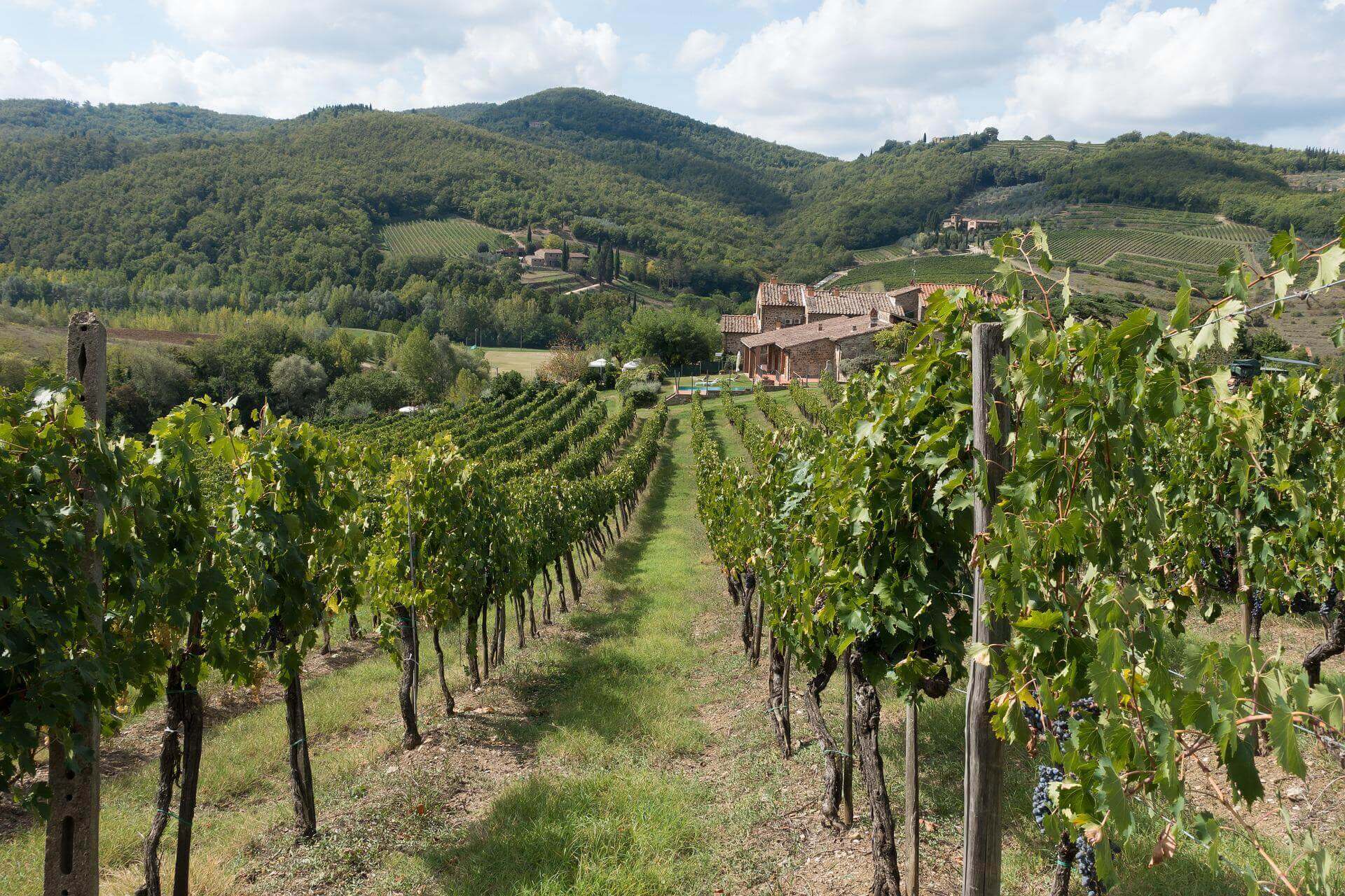 Rete Escursionistica del Chianti Classico