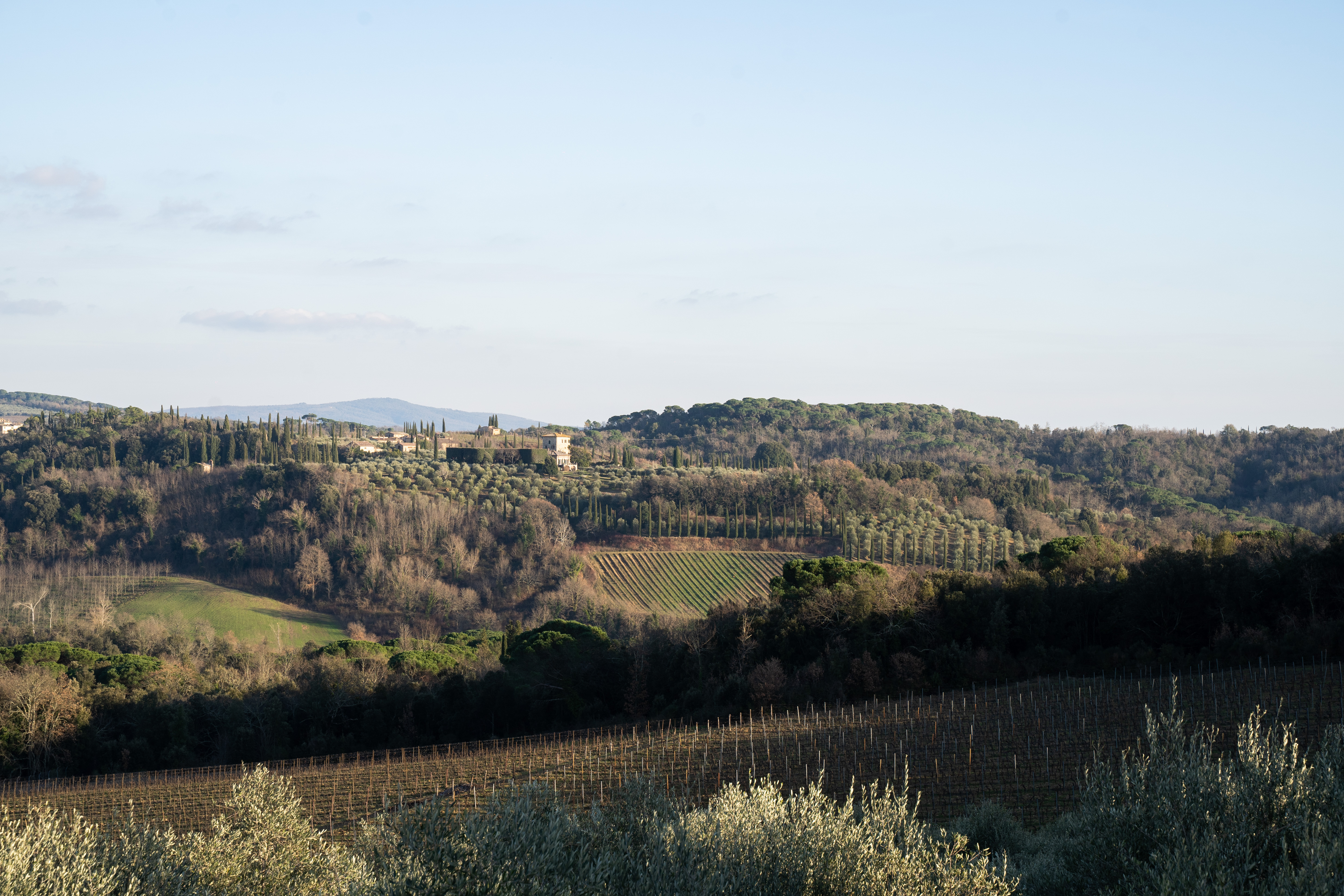 Vino in Cammino: dal 4 giugno ogni martedì escursioni guidate al tramonto con degustazione in fattoria