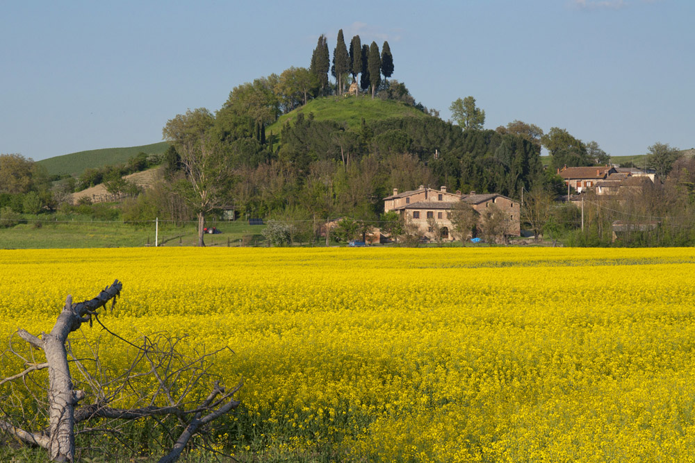 Cippo della Battaglia di Monteaperti