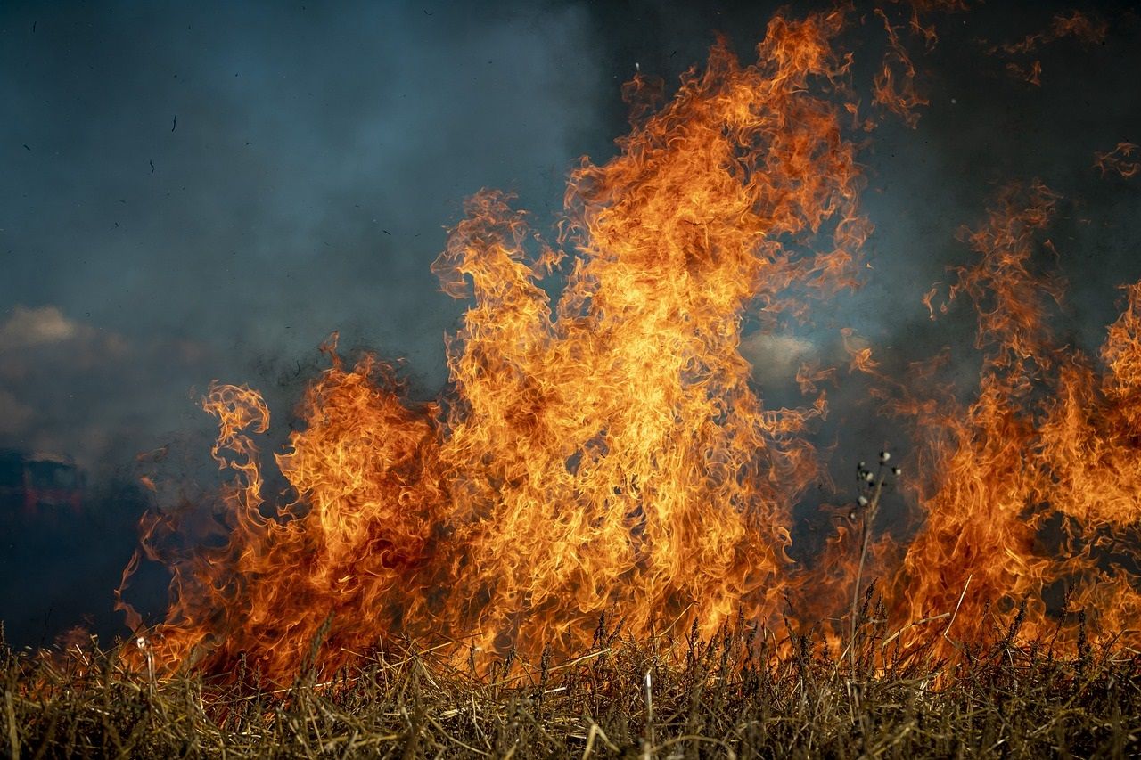Incendi, dal 1 luglio vietato accendere fuochi in tutta la Toscana 