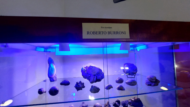 Da Castelnuovo a Scandicci: la passione per i fossili di Roberto Burroni rivive al Museo Paleontologico Scienza della Terra